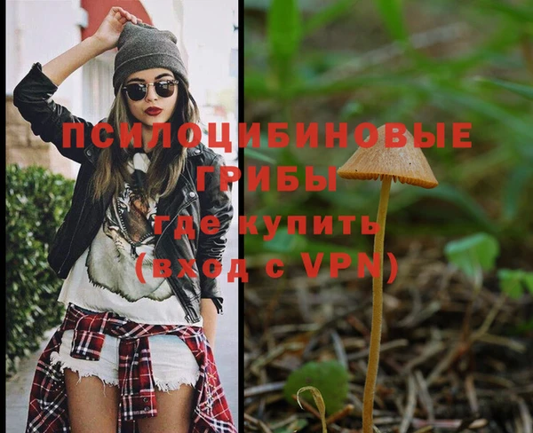 герыч Аркадак