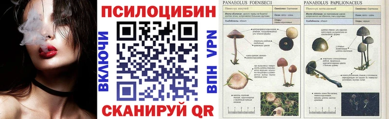 Галлюциногенные грибы ЛСД  Бакал 